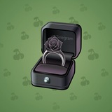 Diamond Ring #17519