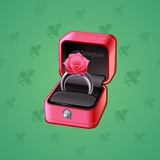 Diamond Ring #17621
