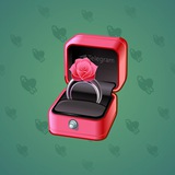 Diamond Ring #17671