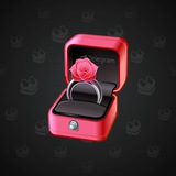 Diamond Ring #17695