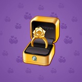 Diamond Ring #18228