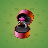 Diamond Ring #18481