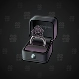 Diamond Ring #18689