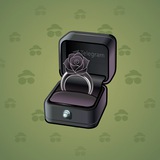Diamond Ring #18956