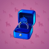 Diamond Ring #19406