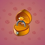 Diamond Ring #19689