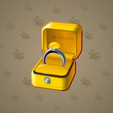 Diamond Ring #19790