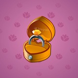 Diamond Ring #19863