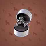 Diamond Ring #19930