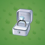 Diamond Ring #20581