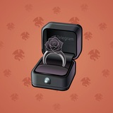 Diamond Ring #21013