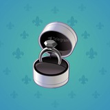 Diamond Ring #2110