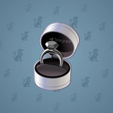 Diamond Ring #21552
