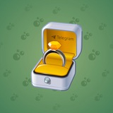 Diamond Ring #21761