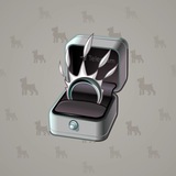 Diamond Ring #21821