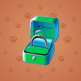 Diamond Ring #2206