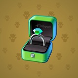 Diamond Ring #22385