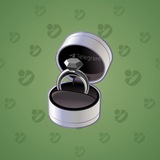 Diamond Ring #22415