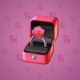 Diamond Ring #23492