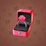 Diamond Ring #23943