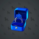 Diamond Ring #24331