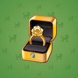 Diamond Ring #24762