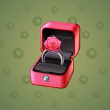 Diamond Ring #24827