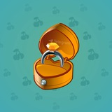Diamond Ring #2657