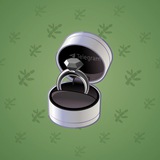 Diamond Ring #27463