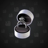 Diamond Ring #27963