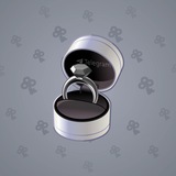 Diamond Ring #28410