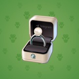 Diamond Ring #28686