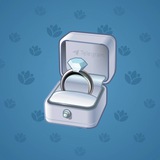 Diamond Ring #28926