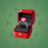 Diamond Ring #29069