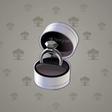 Diamond Ring #29252