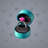 Diamond Ring #29357