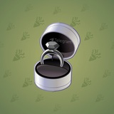 Diamond Ring #30422