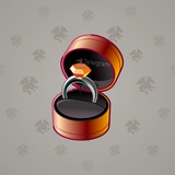 Diamond Ring #4502