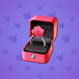 Diamond Ring #4799