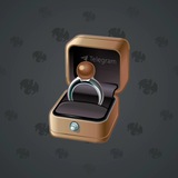 Diamond Ring #4899