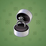 Diamond Ring #5577
