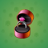 Diamond Ring #5858
