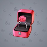 Diamond Ring #6151