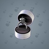 Diamond Ring #6889