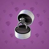 Diamond Ring #8796