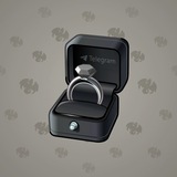 Diamond Ring #8856 Diamond Ring #8856