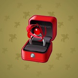 Diamond Ring #8896