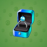 Diamond Ring #8974