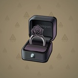 Diamond Ring #8979