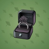 Diamond Ring #9571